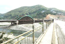 Photo of चार लेनको आर्क ब्रिजमा ८४ प्रतिशत प्रगति