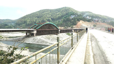 Photo of चार लेनको आर्क ब्रिजमा ८४ प्रतिशत प्रगति