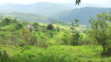 Photo of बाँझिदै खेतबारी, खण्डहर बन्दै गाउँबस्ति
