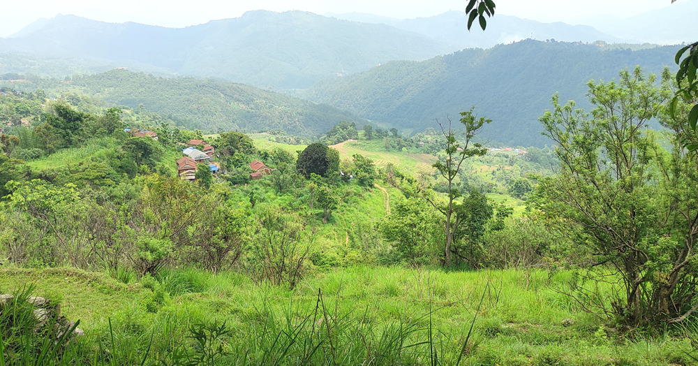 Photo of बाँझिदै खेतबारी, खण्डहर बन्दै गाउँबस्ति