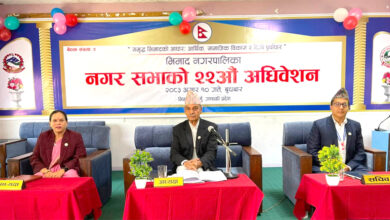 Photo of भिमाद नगरपालिकाको नीति तथा कार्यक्रम : कृषि, शिक्षा, स्वास्थ्य र पूर्वाधार समृद्धिको आधार