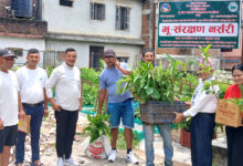 Photo of तनहुँमा भू तथा जलाधार र वन कार्यालयद्वारा २८ भन्दा बढी प्रजातिका बिरुवा निःशुल्क उपलब्ध