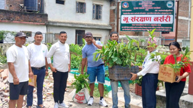 Photo of तनहुँमा भू तथा जलाधार र वन कार्यालयद्वारा २८ भन्दा बढी प्रजातिका बिरुवा निःशुल्क उपलब्ध
