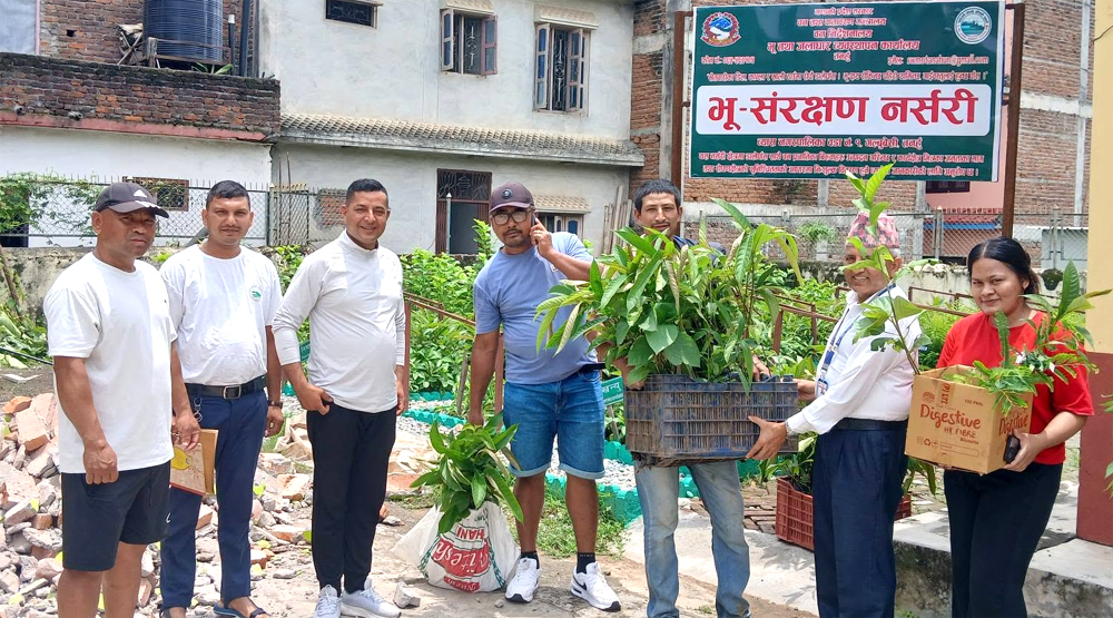 Photo of तनहुँमा भू तथा जलाधार र वन कार्यालयद्वारा २८ भन्दा बढी प्रजातिका बिरुवा निःशुल्क उपलब्ध