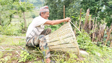 Photo of बासको चोयाबाट डोको बुन्दै