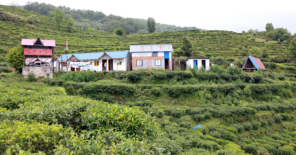 Photo of चियाबारीको हरियालीमा फक्रिँदै ल्वाङको पर्यटन