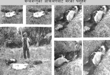 Photo of तनहुँमा वन्यजन्तुबाट क्षति व्यहोरेकालाई रु सात लाख राहत वितरण