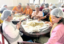 Photo of तालिमबाट व्यवसायसम्म : म्याग्देका महिलाले कोर्दैछन् आत्मनिर्भरताको बाटो