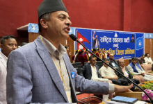 Photo of ‘रास्वपालाई असफल हुने छुट छैन’ : सांसद न्यौपाने