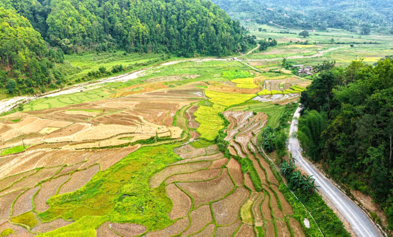Photo of रोपाइको तयारी