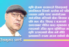 Photo of बजेट : कसले के पायो, के गुमायो ?
