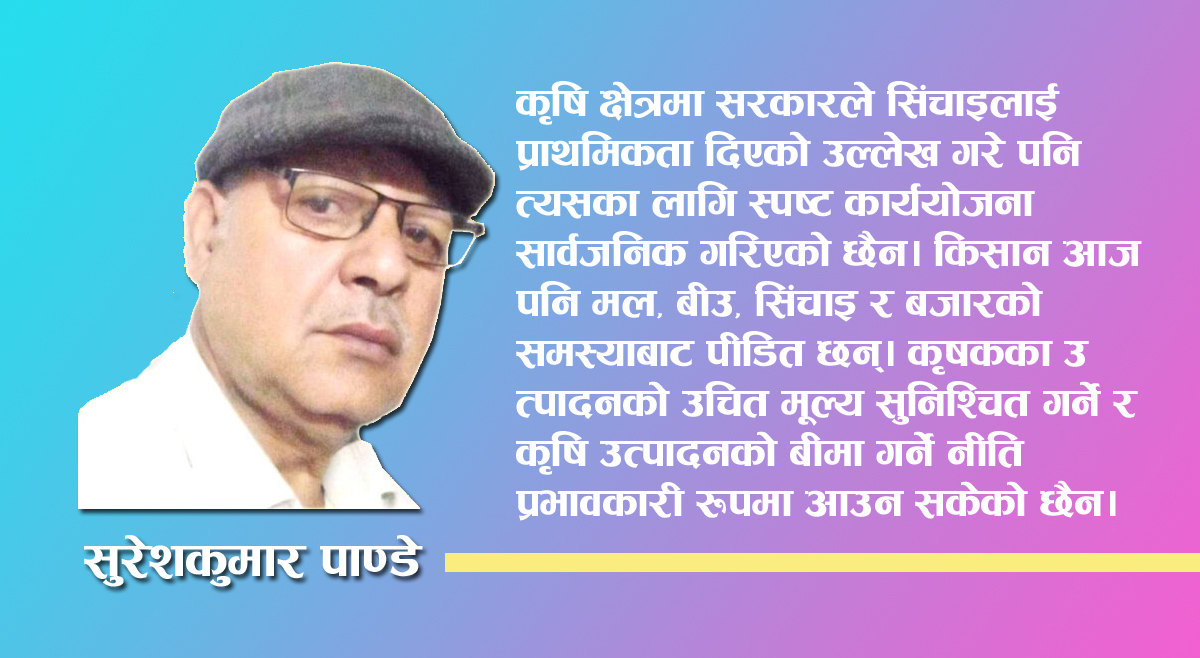 Photo of बजेट : कसले के पायो, के गुमायो ?