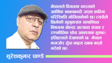 Photo of अदूरदर्शिता र मनोमानीले देश अकल्पनीय घुम्तीमा पुग्न सक्छ