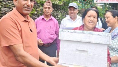 Photo of बन्दीपुरका कृषकलाई मौरी सहितका घार वितरण