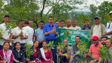 Photo of भानुभक्त क्याम्पसमा फलफूलका बिरुवा रोपियो, वृक्षारोपणलाई संरक्षणसँग जोड्नुपर्नेमा जोड