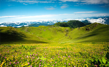 Photo of मनसुनमा घुम्ने रहर
