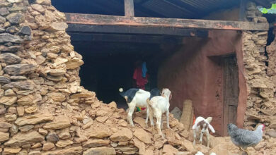 Photo of अविरल वर्षाले बन्दीपुरमा एक घरमा क्षति