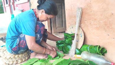Photo of सालको पातबाट टपरी