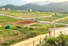 Photo of व्यास नगरपालिकाले पराशर मार्ग निर्माण कार्यका लागि असोज मसान्तसम्म म्याद थप्यो