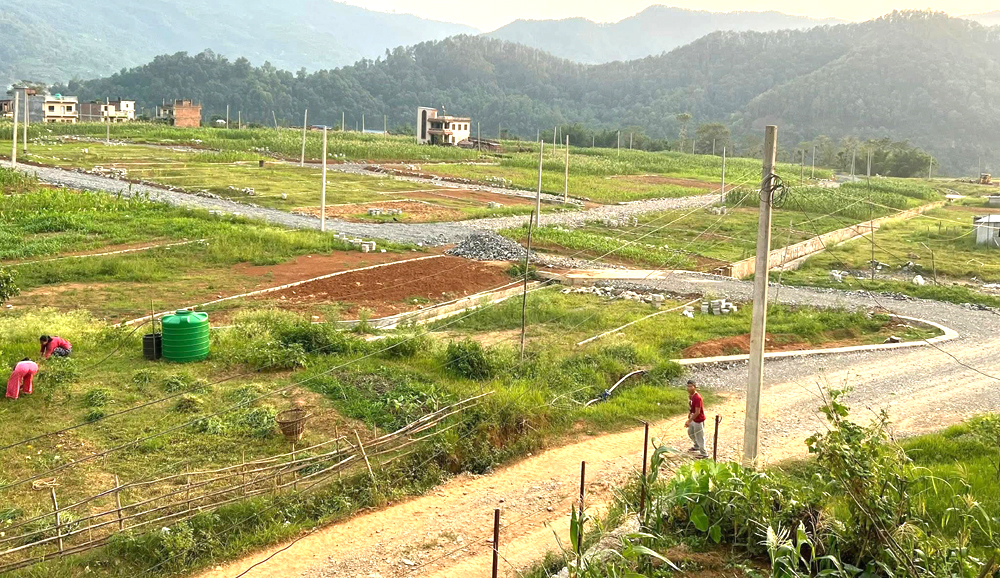 Photo of व्यास नगरपालिकाले पराशर मार्ग निर्माण कार्यका लागि असोज मसान्तसम्म म्याद थप्यो