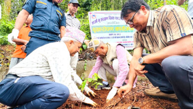 Photo of भूसंरक्षण दिवसमा व्यासको भादगाउँ खानेपानी क्षेत्र वरपर बिरुवा रोपियो