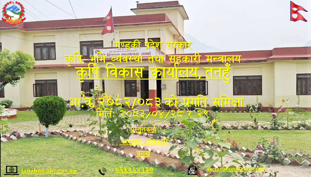 Photo of तनहुँमा खाद्यान्न उत्पादन अझै अपुग, बाँदर र बाँझो जमिन मुख्य चुनौती