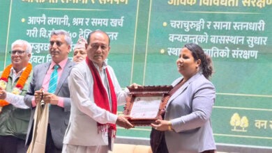 Photo of ‘अनि बन्यो बन्दीपुरमा मानकाजीको वन’