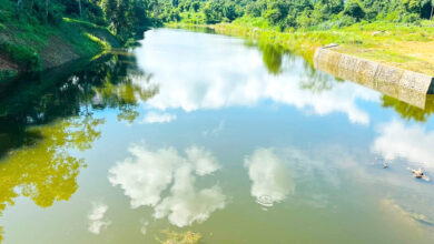 Photo of नारेश्वर तालमा पानी जम्मा हुन सुरु