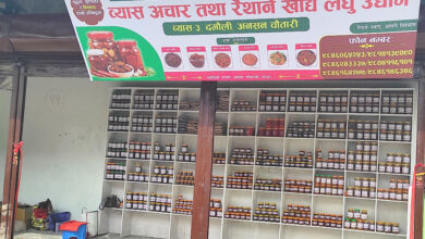 Photo of दमौलीमा व्यास अचार तथा रैथाने खाद्य उद्योग सञ्चालनमा