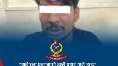 Photo of ग्यारेजमा फलामको डण्डी प्रहारबाट आँवुखैरेनीमा भारतीय नागरिकको मृत्यु
