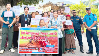 Photo of घर–आँगनबाटै डेंगी नियन्त्रण गर्न तनहुँको भिमादमा अभिमुखीकरण