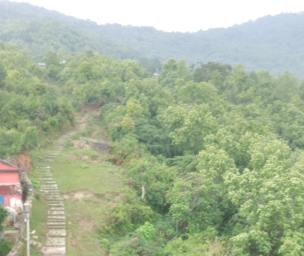 Photo of घोषणामा नै सीमित लमजुङको ‘स्मार्ट फिल्म सिटी’ सपना