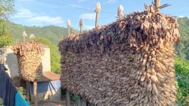 Photo of मकै भण्डारण