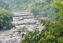 Photo of बुढीगण्डकीमा ठूलो बाढी, आँबुखैरेनी र देवघाटका नदी तटीय बासिन्दालाई सतर्क रहन आग्रह