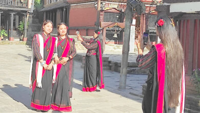 Photo of बन्दीपुरको चिनो