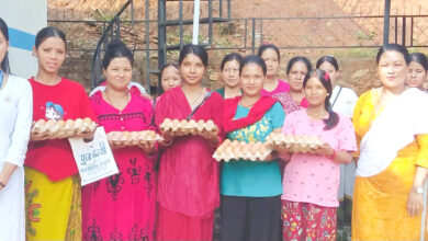Photo of गर्भवती र सुत्केरीको पोषणमा भिमाद नगरपालिकाको जोड