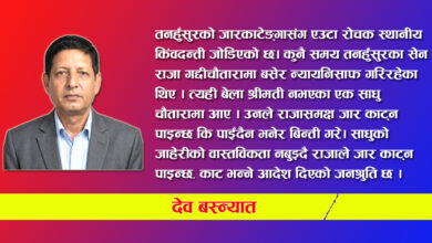 Photo of हाम्रा घरआँगनमा भेटिने ढुङ्गा र ढुङ्गासंग जोडिएको साइनो