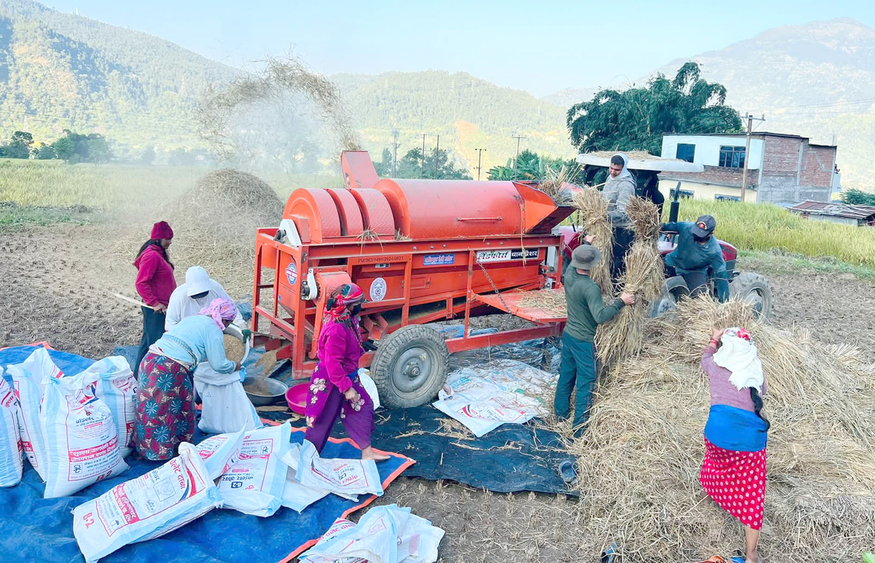 Photo of तनहुँमा तरकारी र धान खेतीको क्षेत्रफल विस्तार