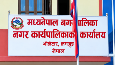 Photo of लमजुङको मध्यनेपालमा विषादीको मनपरी प्रयोगमाथि नगरपालिकाको कडाई